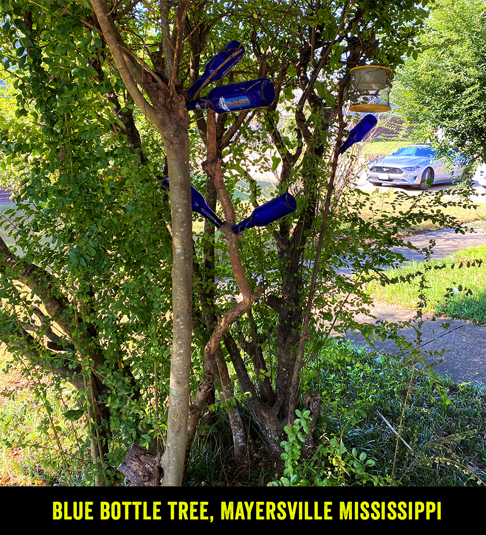 Blue Bottle Tree Mayersville Mississippi